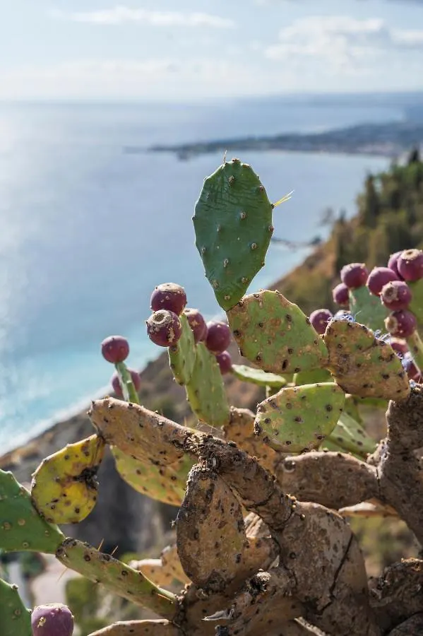 Splendida Casa A Taormina 